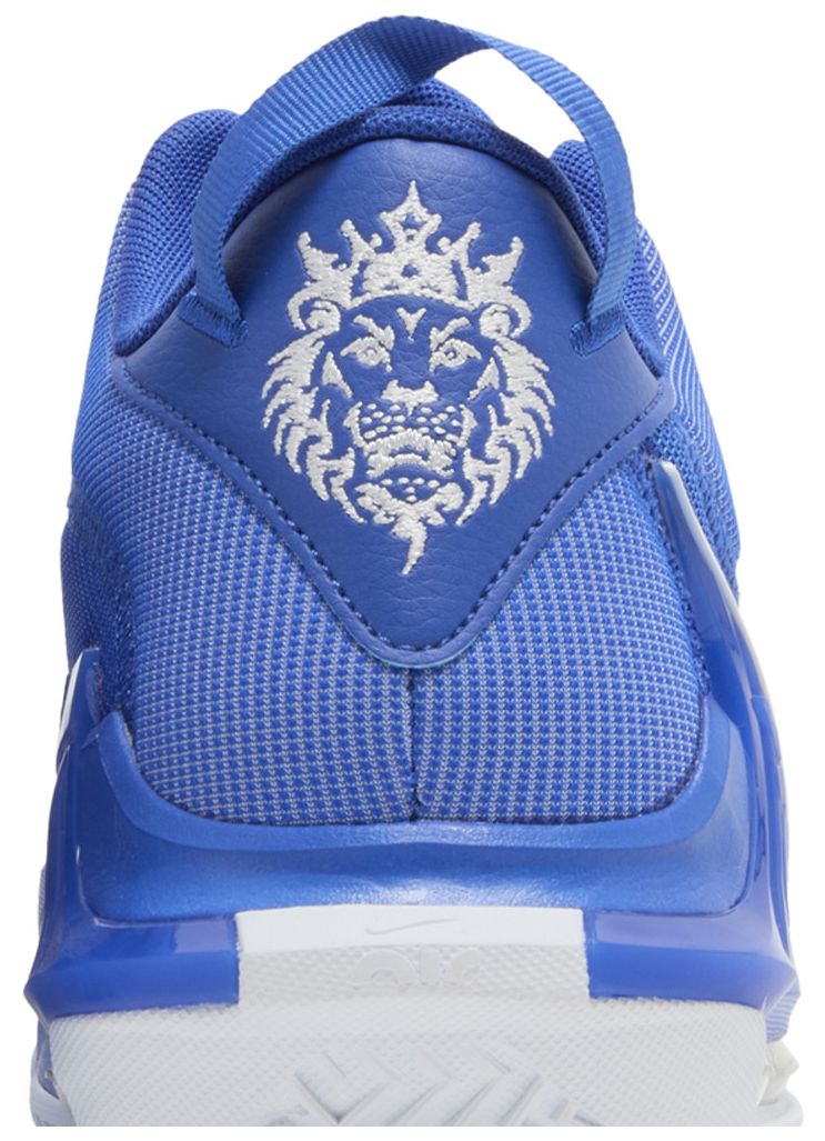Nike LeBron Witness 7 TB Game Royal