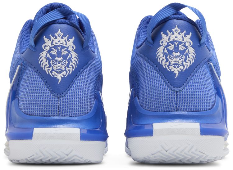 Nike LeBron Witness 7 TB Game Royal