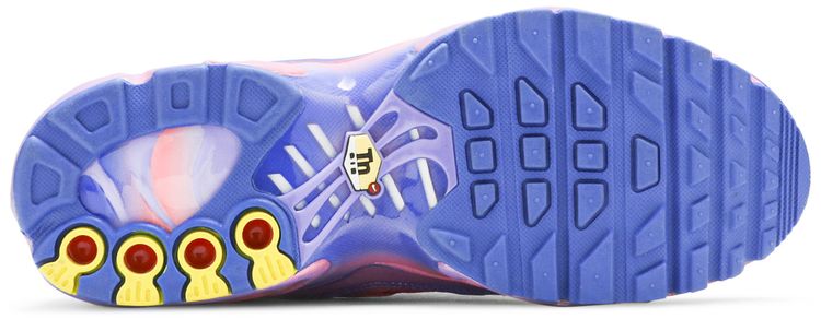 Nike Air Max Plus GS Sunset Pulse