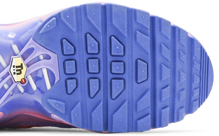 Nike Air Max Plus GS Sunset Pulse