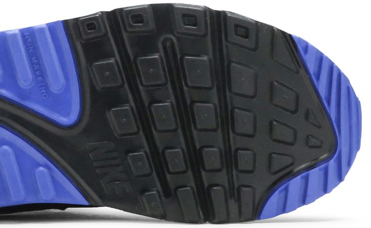 Nike Air Max 90 GS Hyper Royal