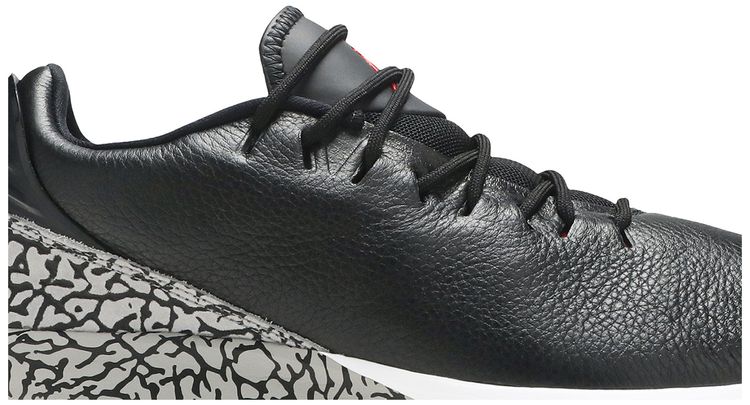 Air Jordan ADG Black Cement