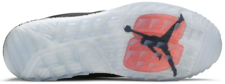 Air Jordan ADG Black Cement