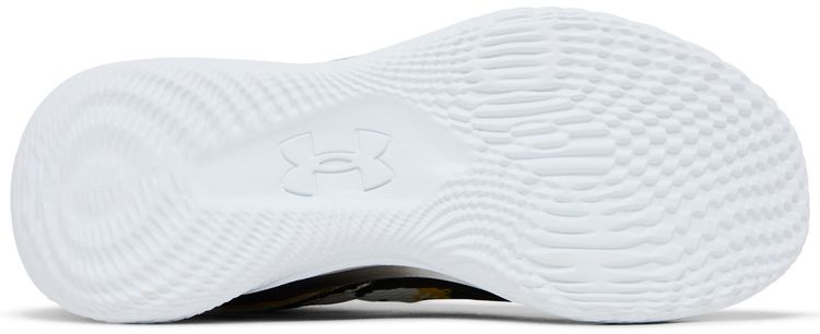 Curry Brand Curry 2 Low FloTro Taxi Camo