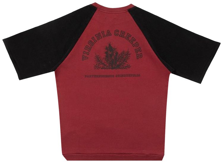 Raf Simons Short Sleeve Raglan Sweater Virgina Creeper BurgundyBlack