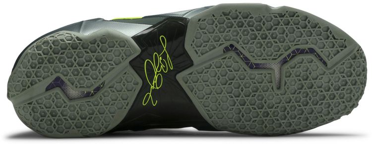 Nike LeBron 11 Dunkman