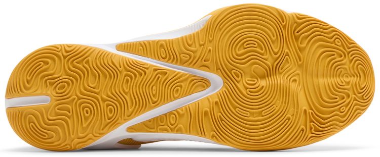 Nike Zoom Freak 3 TB University Gold