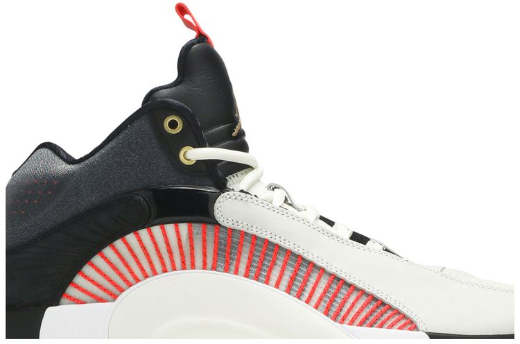 Titan x Air Jordan 35 PF 10th Anniversary