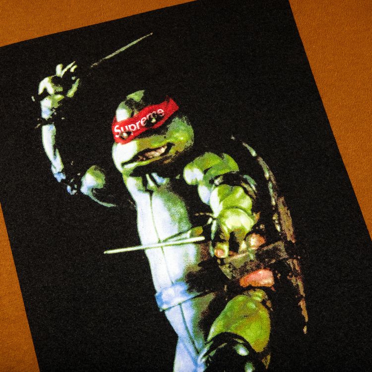 Supreme Raphael Tee Brown