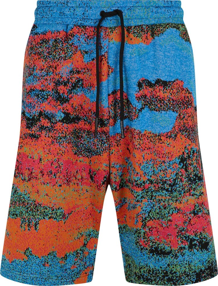 Ambush Printed Bermuda Shorts Blue