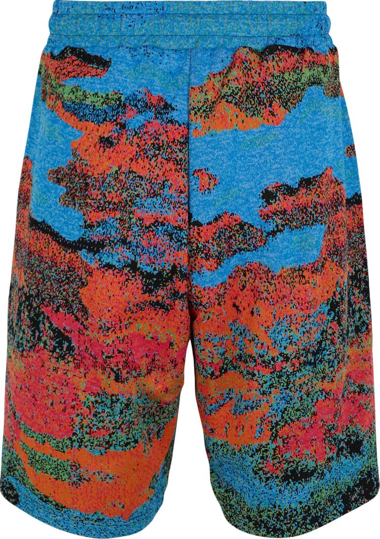 Ambush Printed Bermuda Shorts Blue