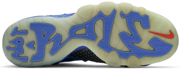 Nike Barkley Posite Max Sixers