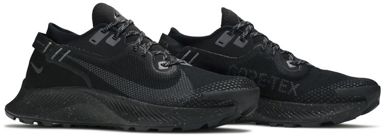Pegasus Trail 2 GTX Black Metallic Dark Grey