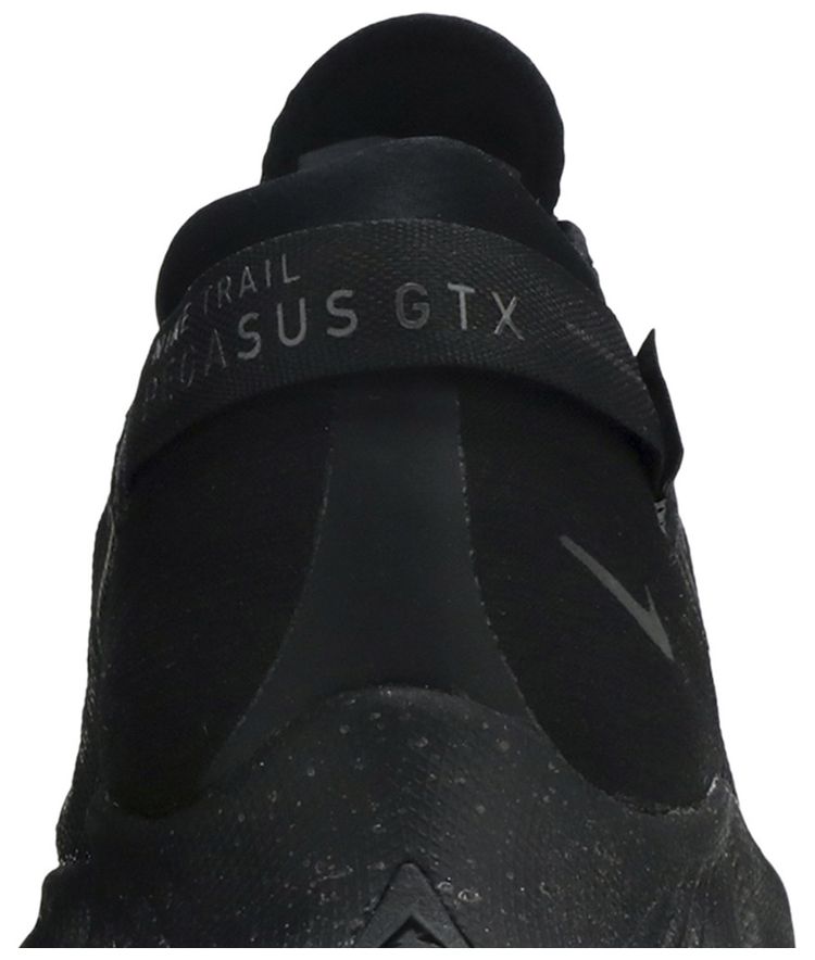Pegasus Trail 2 GTX Black Metallic Dark Grey