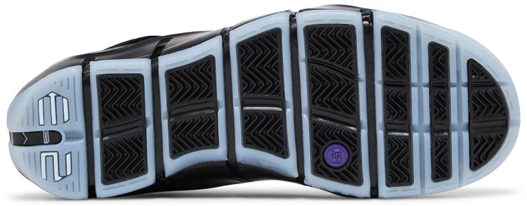 Zoom LeBron 4 Eggplant