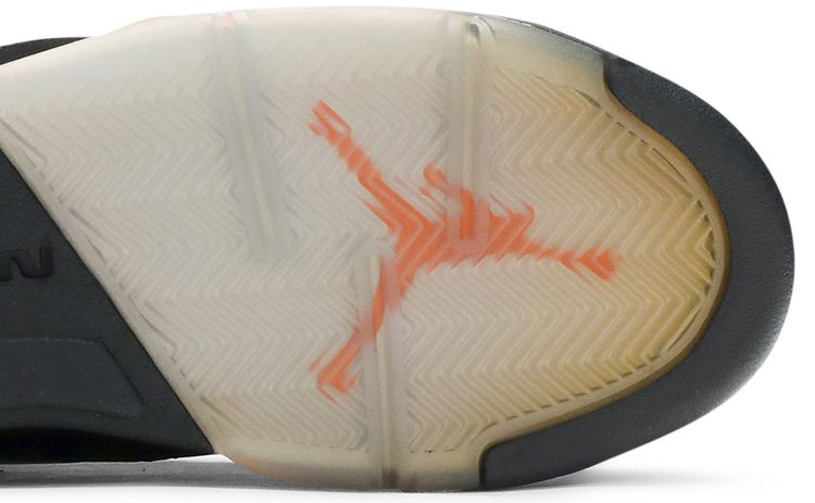 Air Jordan 5 Retro GG Floridian