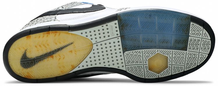 Nike Paul Rodriguez 2 Premium