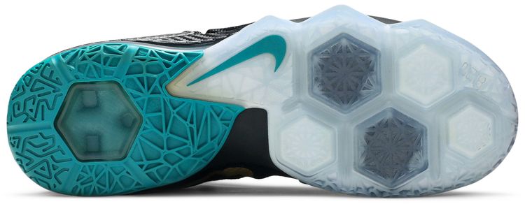 Nike LeBron 12 Low Carbon Fiber