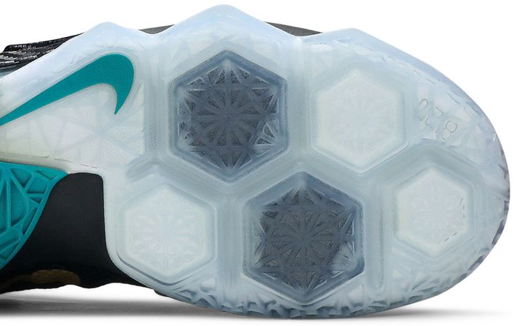 Nike LeBron 12 Low Carbon Fiber