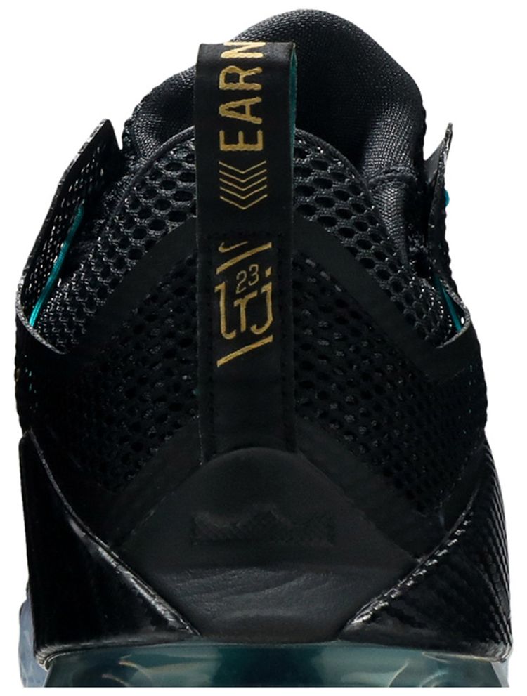Nike LeBron 12 Low Carbon Fiber