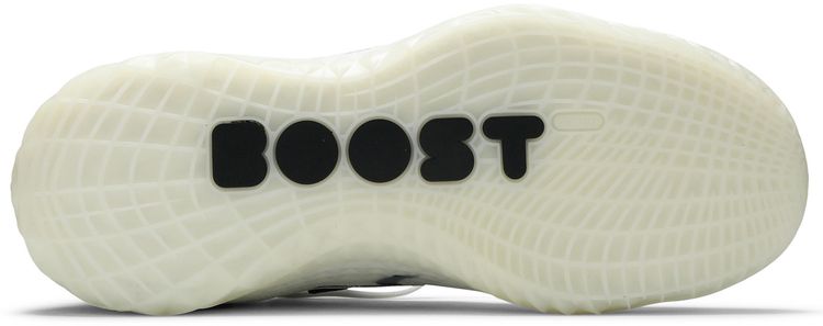 Adidas Harden Vol 5 Futurenatural Welcome to BKLYN