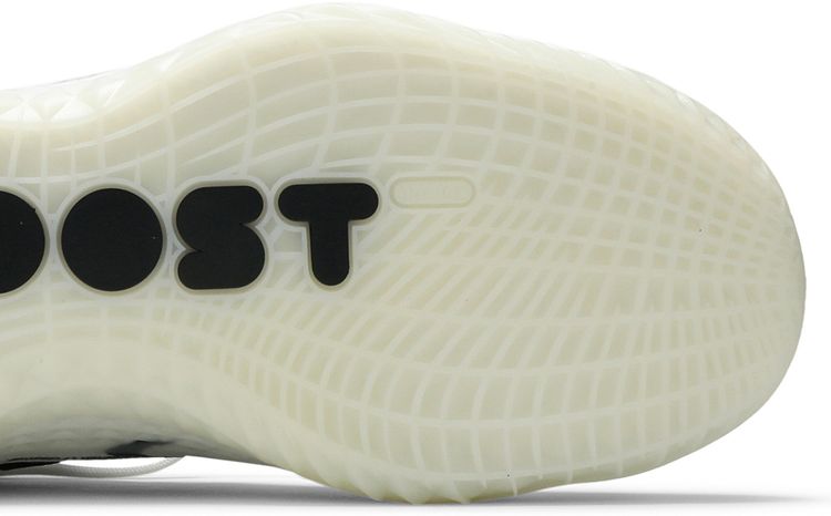 Adidas Harden Vol 5 Futurenatural Welcome to BKLYN