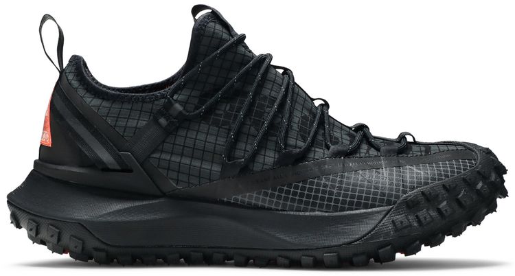 Nike ACG Mountain Fly Low Anthracite