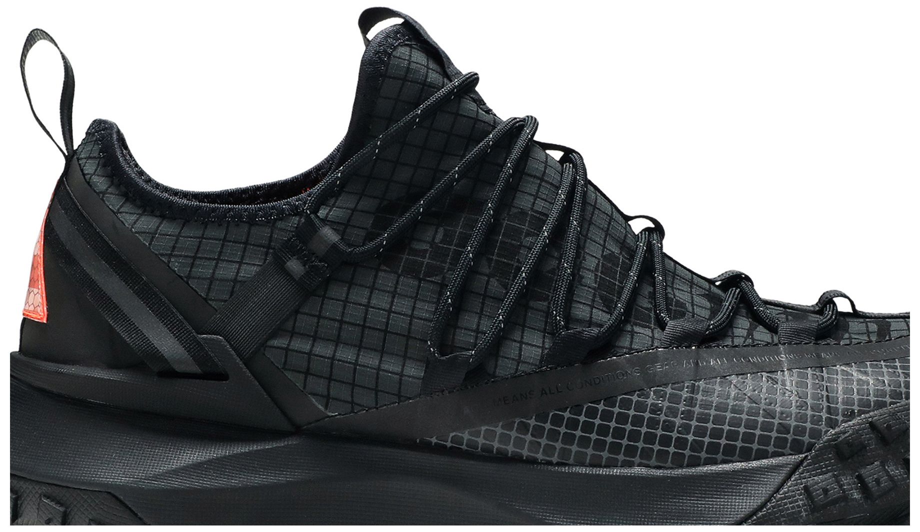 acg mountain fly anthracite