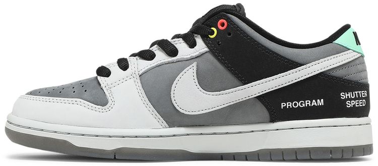 Nike Dunk Low SB Camcorder