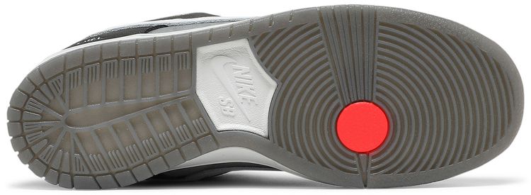 Nike Dunk Low SB Camcorder