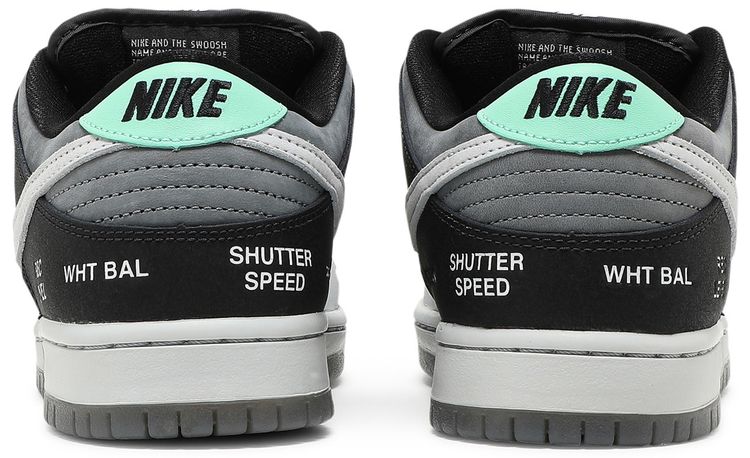 Nike Dunk Low SB Camcorder