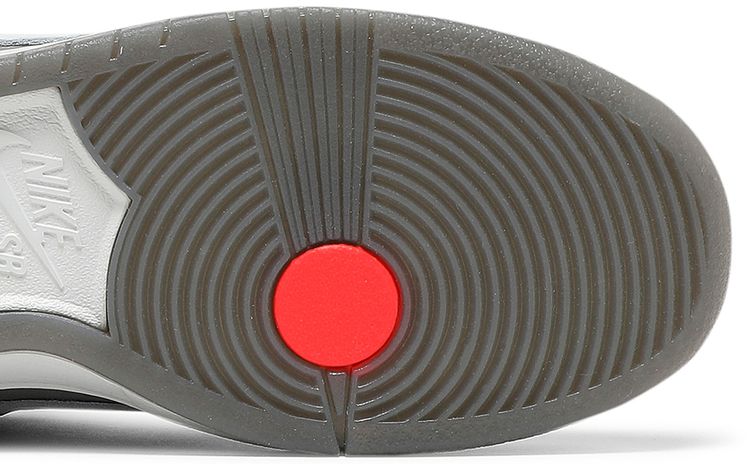 Nike Dunk Low SB Camcorder