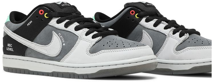 Nike Dunk Low SB Camcorder