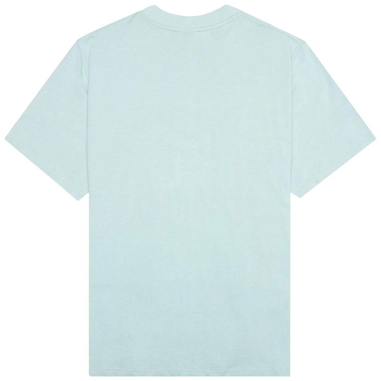 Pleasures Shade Heavyweight T Shirt Mint