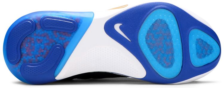 Nike Joyride Run Flyknit Light Photo Blue