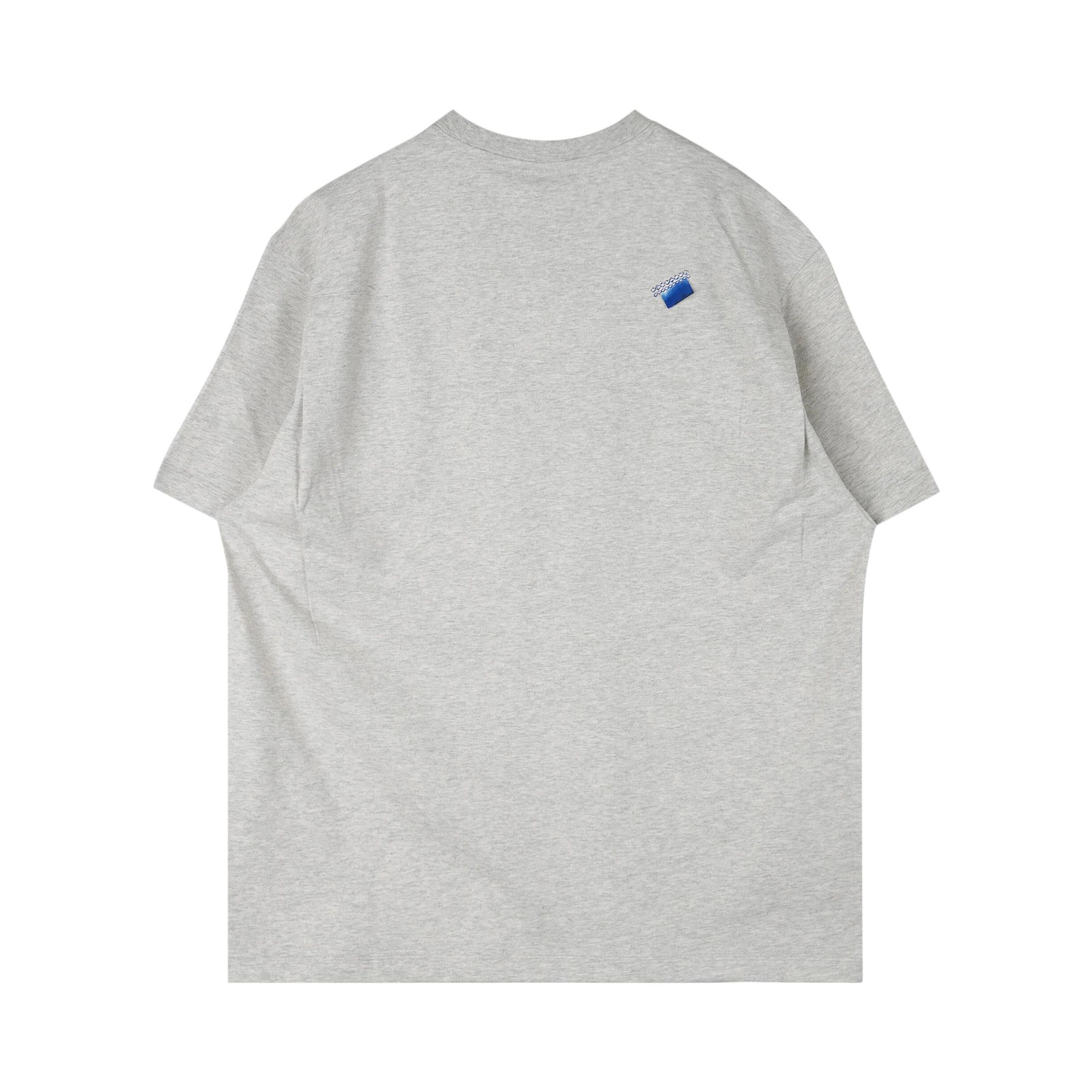 Buy Ader Error T-Shirt 'Grey' - BN01SSTS0112GR | GOAT AU