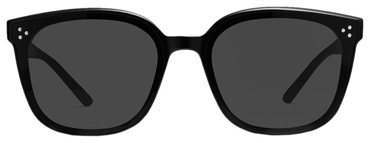 Gentle Monster By 01 Sunglasses Black