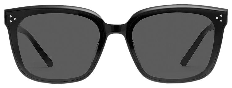 Gentle Monster Dear 01 Sunglasses Black