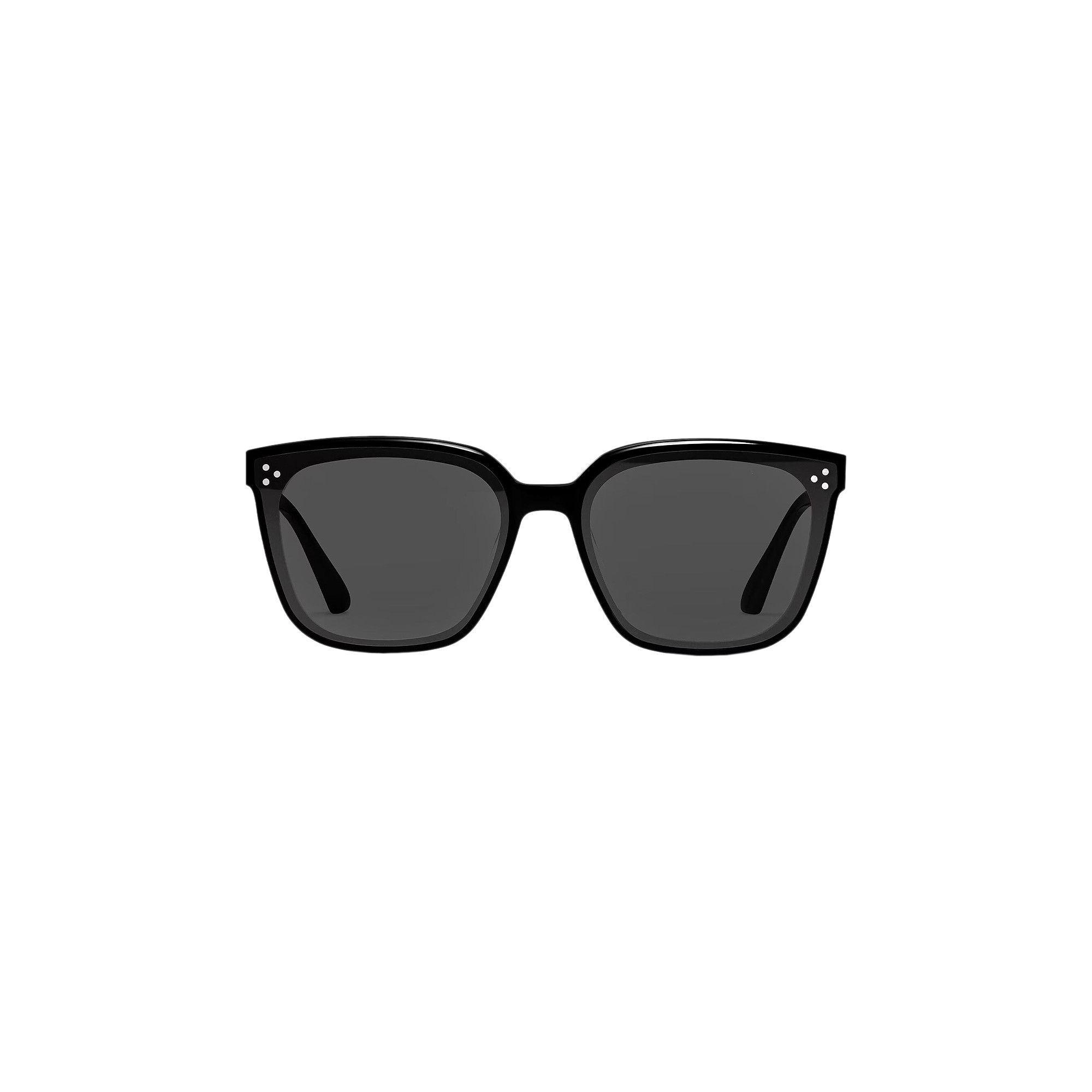 Buy Gentle Monster Palette 01 Small Sunglasses 'Black