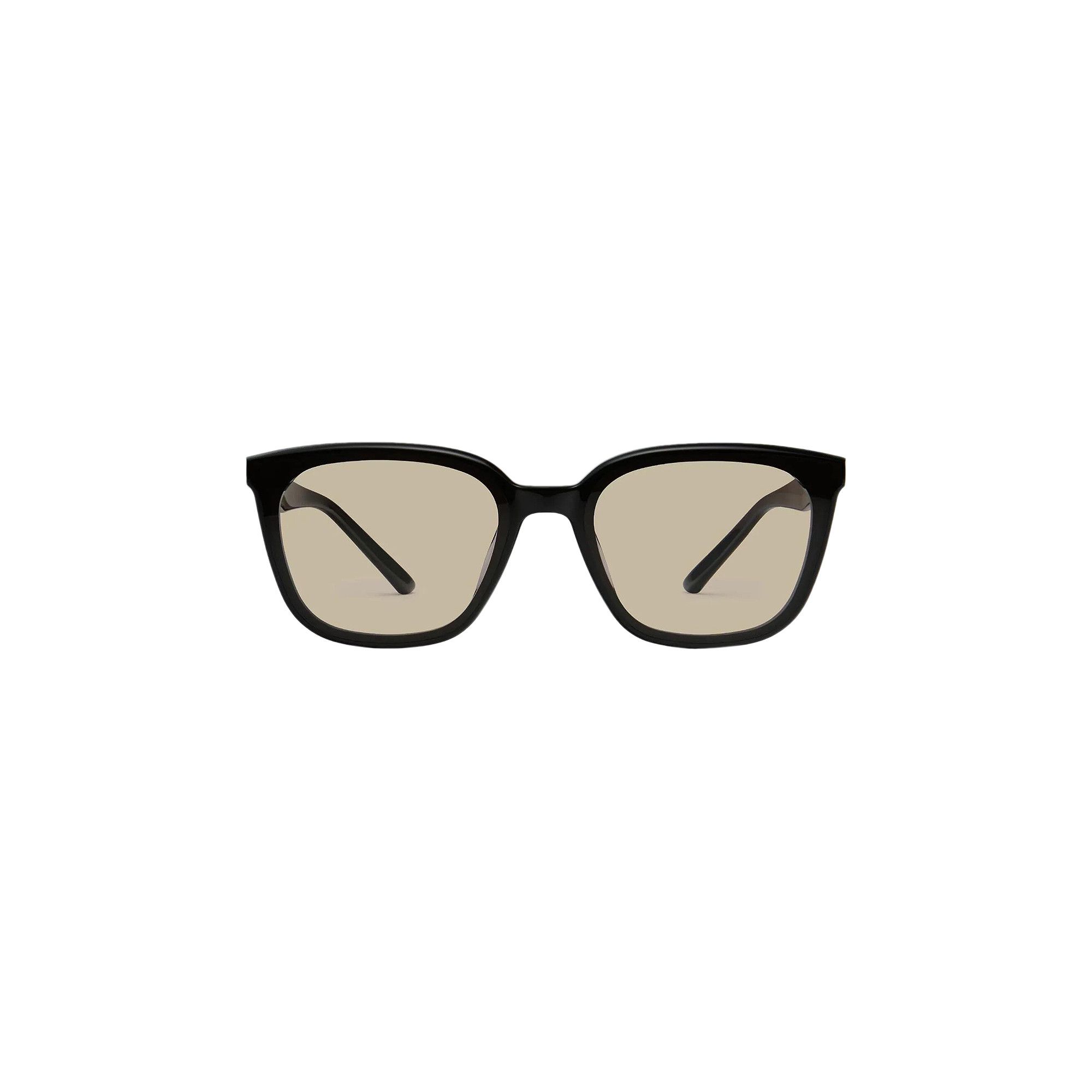 Buy Gentle Monster Pino 01 Br Sunglasses 'Black' - PINO 01 BR BLAC | GOAT