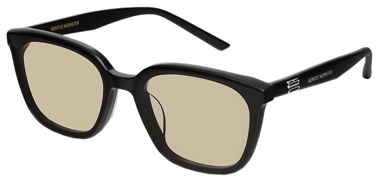 Gentle Monster Pino 01 Br Sunglasses Black