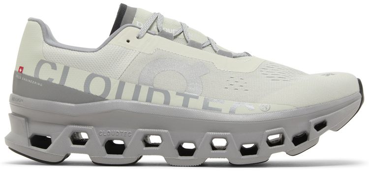 Cloudmonster Ice Alloy