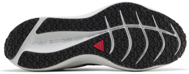 Nike Wmns Winflo 7 Shield Black