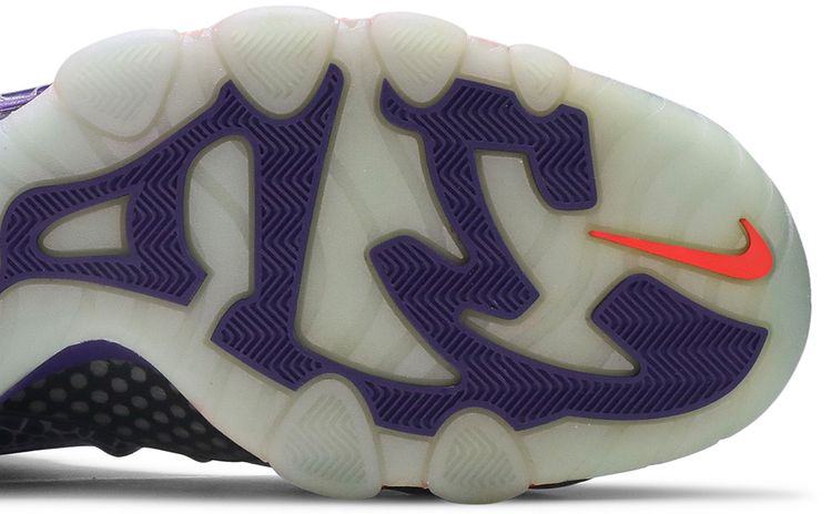 Nike Barkley Posite Max Phoenix Suns