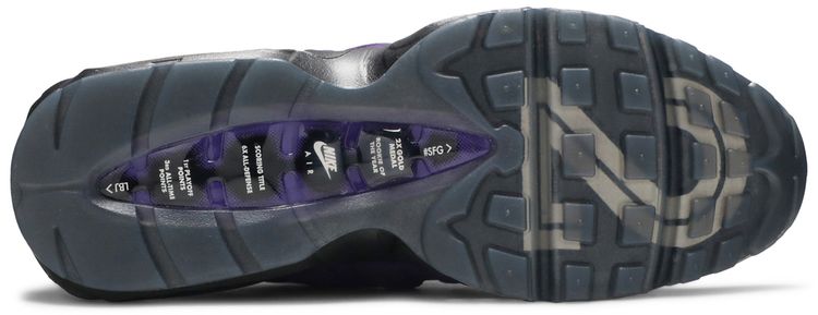 LeBron James x Air Max 95 NRG Home Team