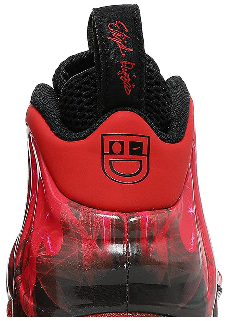 Nike Air Foamposite One Premium DB Doernbecher