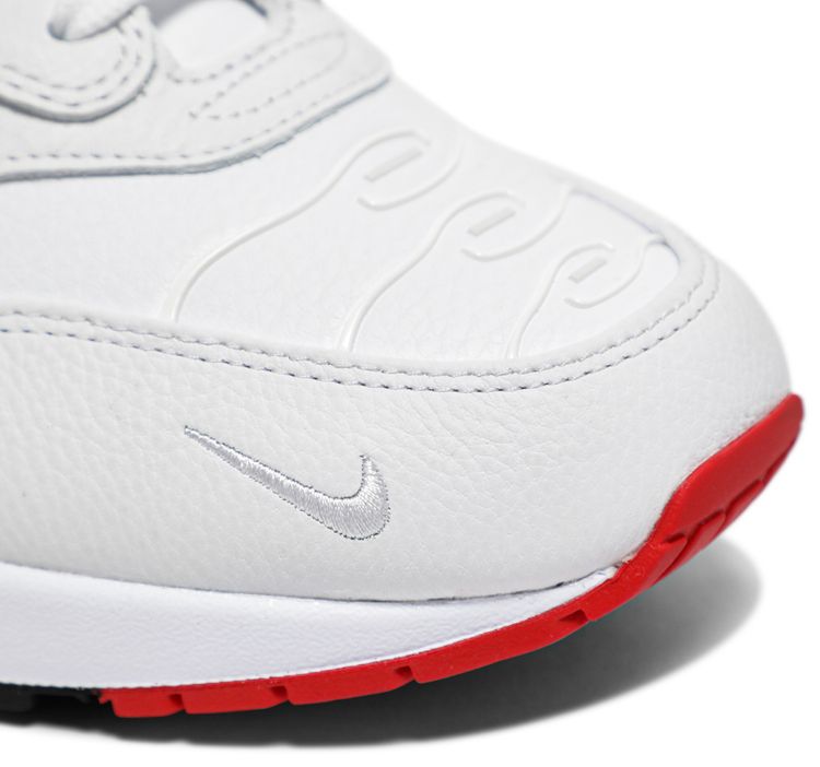 Nike Air Max 1 Evolution of Icons