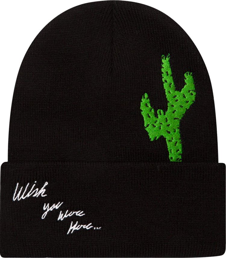 Cactus Jack by Travis Scott Astroworld x DSM Wish You Were Here Beanie Black