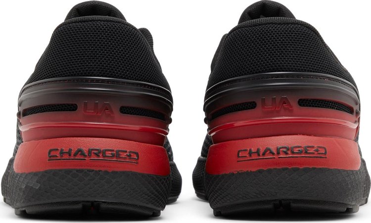 Charged Rogue 25 Bred