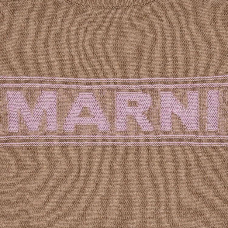Marni Logo Virgin Wool V Neck Sweater Earth Of Siena